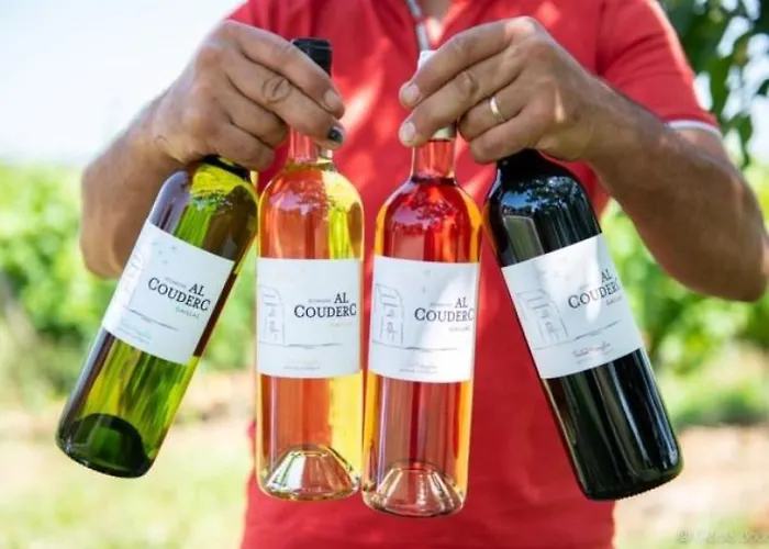 La Maison De Prat Coutel * Labastide-de-Lévis