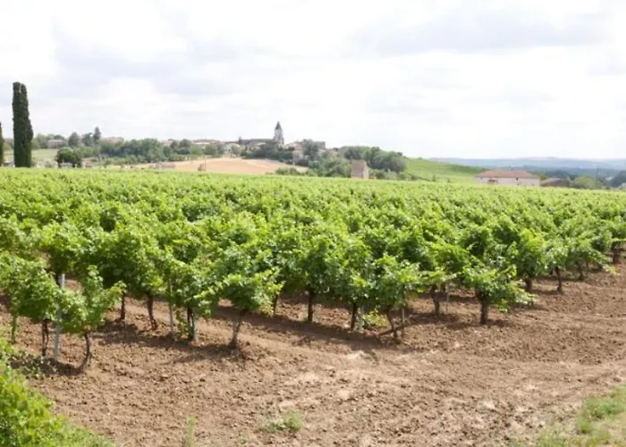 La Maison De Prat Coutel Labastide-de-Lévis