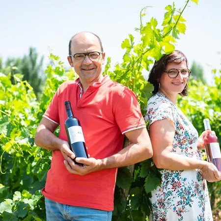 La Maison De Prat Coutel Labastide-de-Lévis