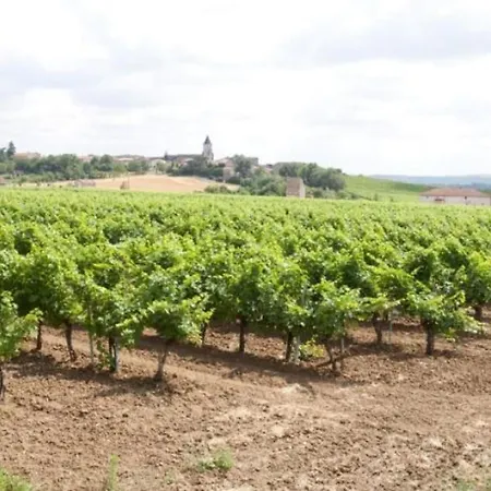 La Maison De Prat Coutel Labastide-de-Lévis